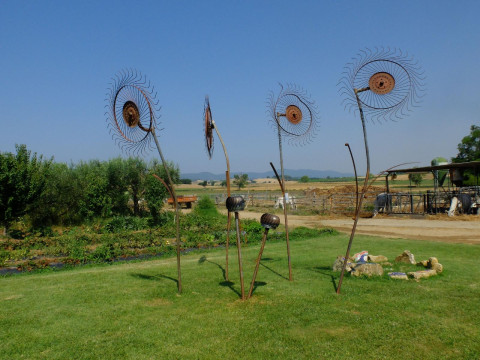 Agriturismo Al Girasole Farm Holiday B&B