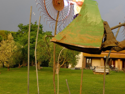 Agriturismo Al Girasole Farm Holiday B&B