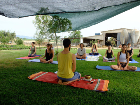 Agriturismo Al Girasole Farm Holiday B&B