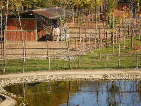 Agriturismo Corte Benetti