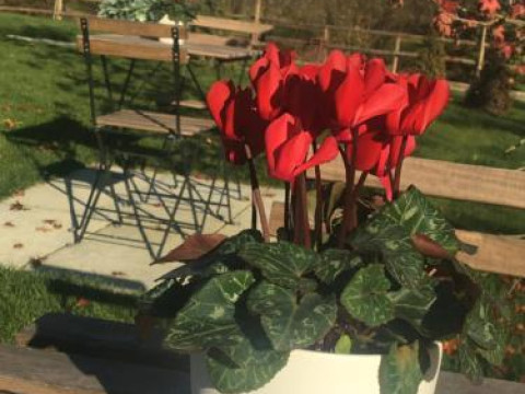 Agriturismo Da Mamma