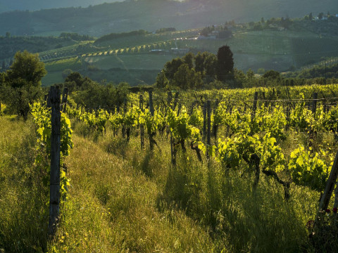 Agriturismo Fattoria Lavacchio