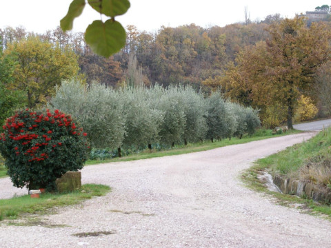 Agriturismo Fonte Chiara