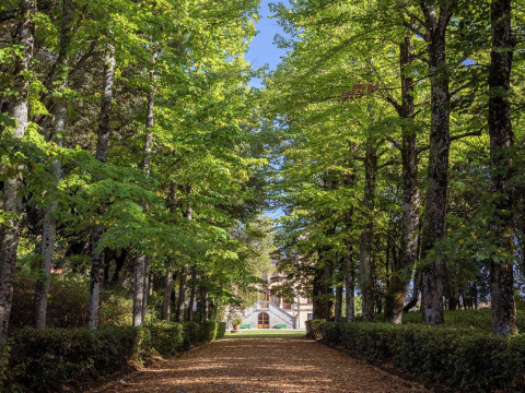 Agriturismo I Bonsi