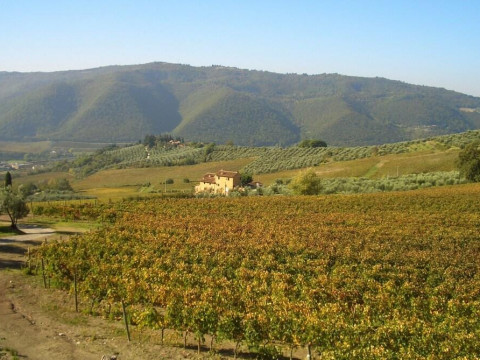 Agriturismo I Veroni