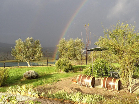 Agriturismo Il Macchione