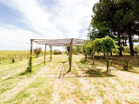 Agriturismo La Fragolaia