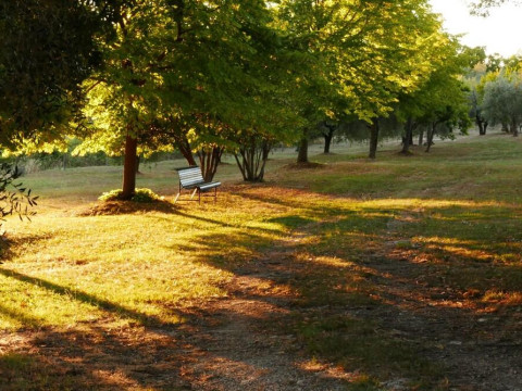 Agriturismo La Pieve