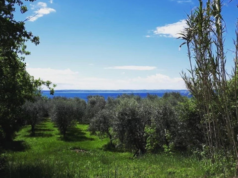 Agriturismo La Rocca