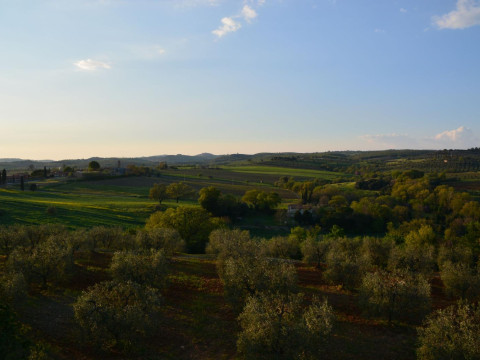 Agriturismo L'aquilone