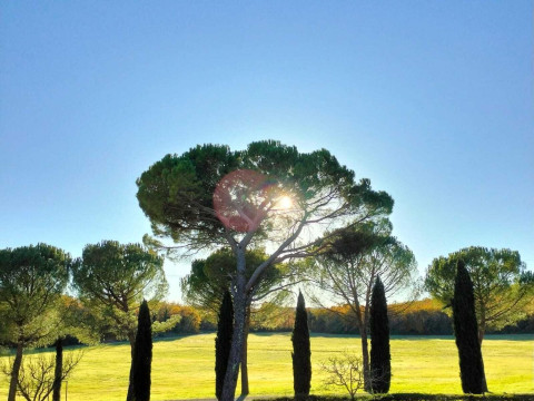 Agriturismo Nerbona