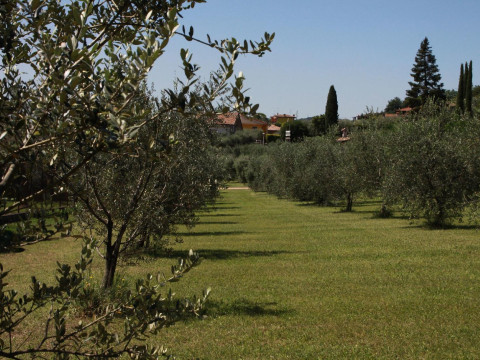 Agriturismo Nonna Bettina