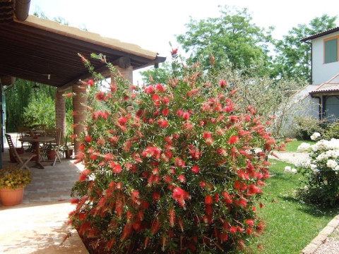 Agriturismo Quarto Podere