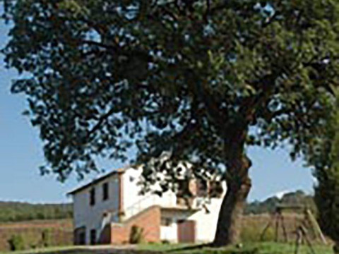 Agriturismo Rossello