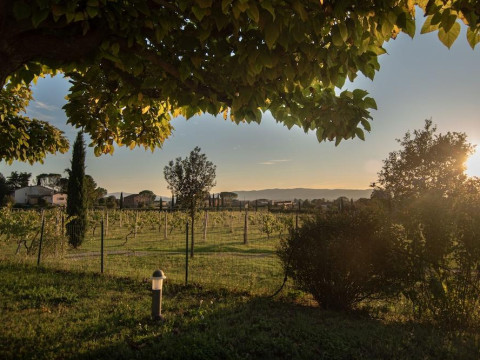 Agriturismo Sasso Rosso