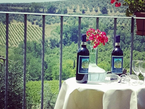 Agriturismo Torraiolo