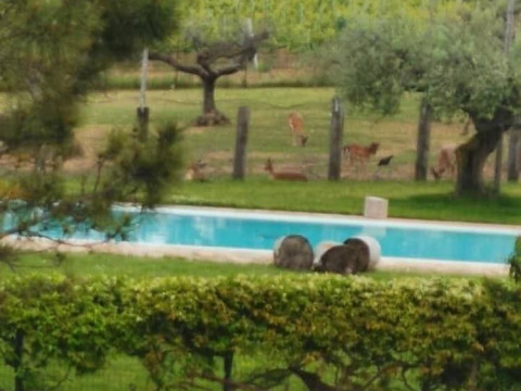 Agriturismo Torre Mannella