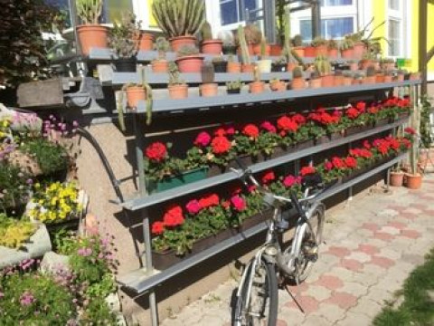 AJO Vienna Apartements & Residences