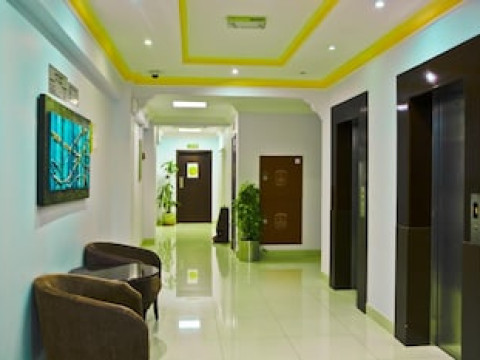 AL MAHA INTERNATIONAL