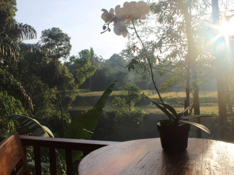 Alam Dania Cottage