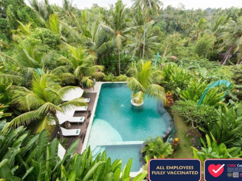 Alamdini Resort Ubud