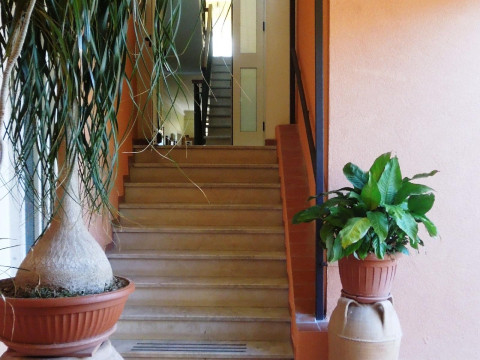 Albergo Delfino