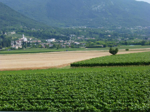 Albergo Villa Eva