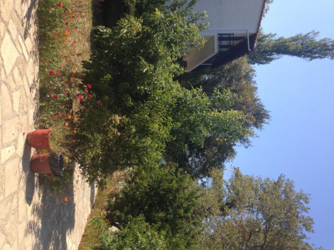 Alekos Rooms and Apartments