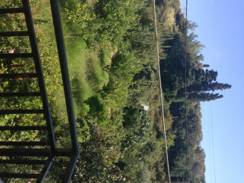 Alekos Rooms and Apartments