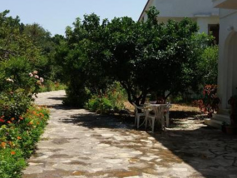 Alekos Rooms and Apartments