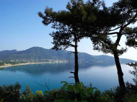 Alexandra Golden Thassos Boutique