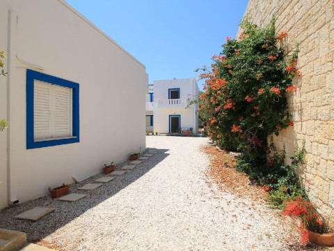 Alexis Apartments