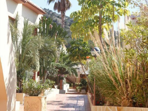 Alfaz' Paradise Club