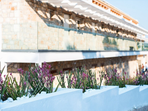 Aliv Stone Suites & Spa Zakynthos