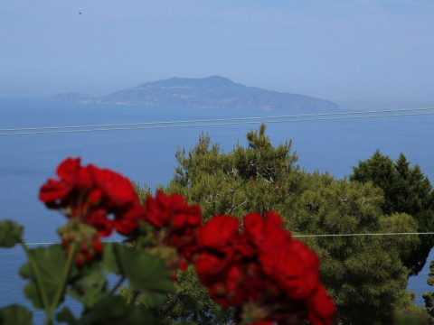 ALLE GINESTRE B&B