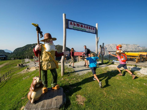 Alm Hotel Karnten