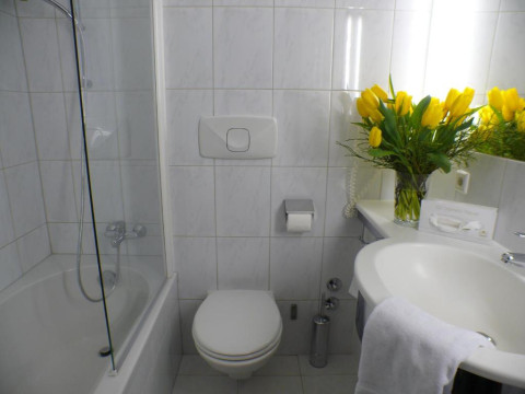 Hotel Alpin Park