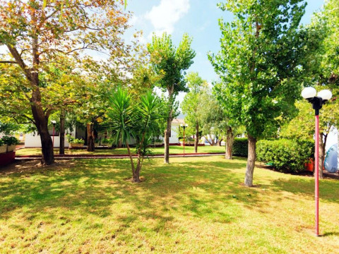 Alykes Park