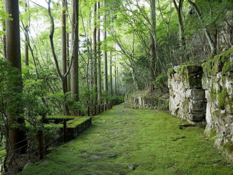 AMAN KYOTO