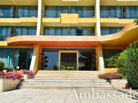 AMBASSADOR