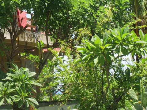 Amed Sari Beach Guesthouse