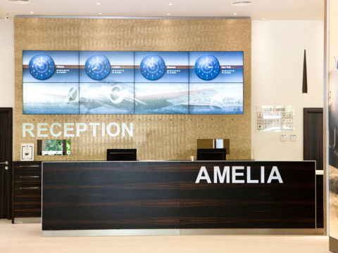 Amelia Superior