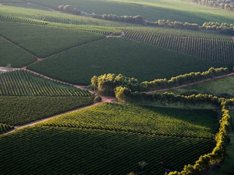 AMERICA – COASTA de VEST