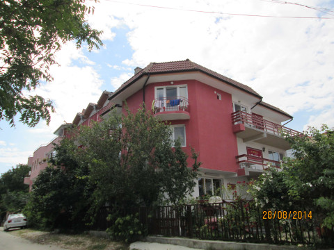 Amirov 