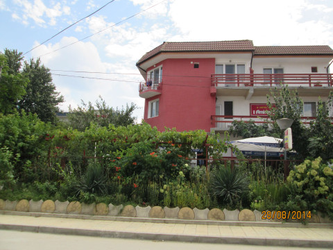 Amirov 
