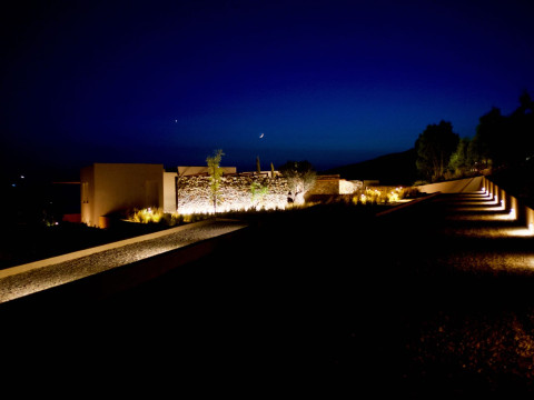 Ammoa