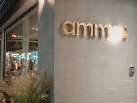 Ammos Beach Studios & Suites