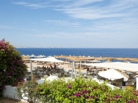 Amphoras Blu Resort - Adult Only 16+ (ex Shores Aloha Sharm)