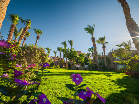 ananea Hurghada