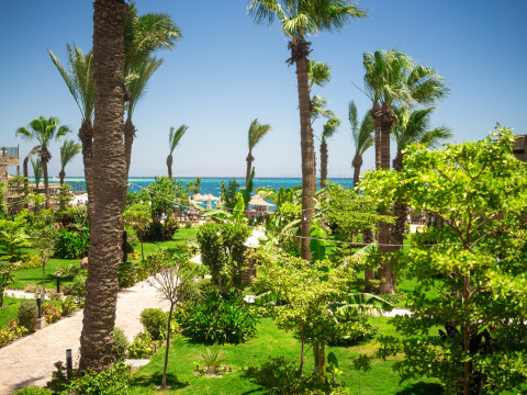 ananea Hurghada